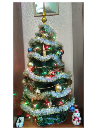 Наши ёлки №160803