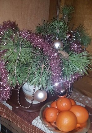 Наши ёлки №160808