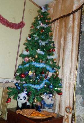 Наши ёлки №160952