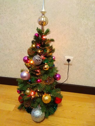Наши ёлки №161049