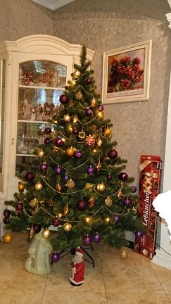 Наши ёлки №161114