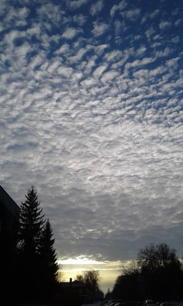 Девочка и лебедь №162037