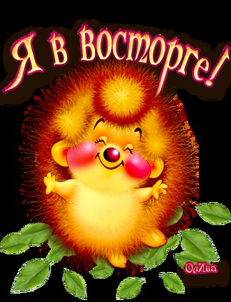 GK Welcome Home №162253