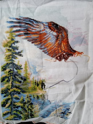 Гора, свободный полет, рябина, лисички, пахнет лесом №164386