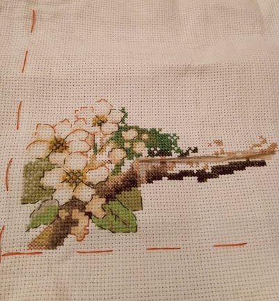 Птички неразлучники №164544