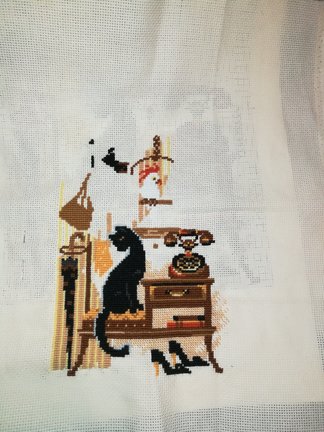 12 красавиц и отдыхалки от них №164758