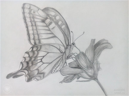 Мое хобби (рисование)... №166141