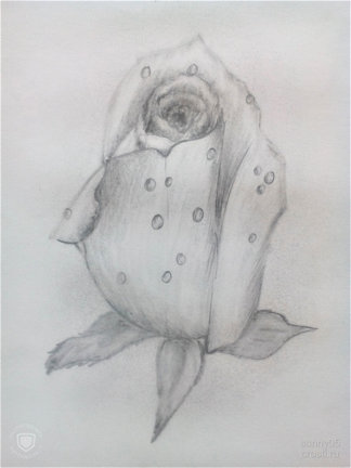 Мое хобби (рисование)... №166145