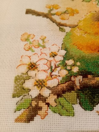 Птички неразлучники №166349