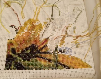 Сельское утро и божьи коровки №167424