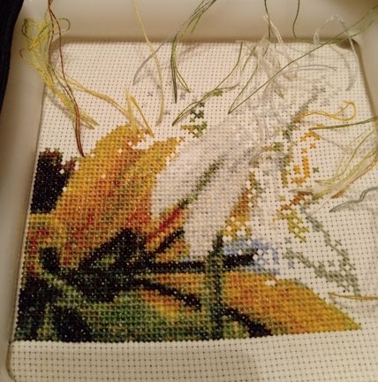 Сельское утро и божьи коровки №167533