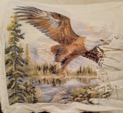 Гора, свободный полет, рябина, лисички, пахнет лесом №167999