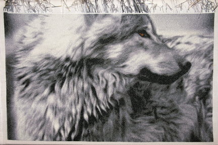 Взгляд волчицы от Химеры №168026