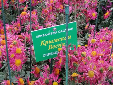 Никитский ботанический сад №168102