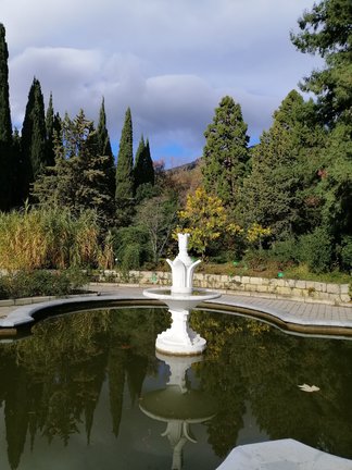 Никитский ботанический сад №168128