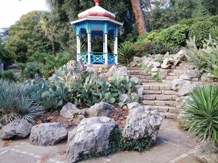 Никитский ботанический сад №168163