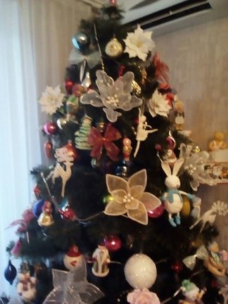 Творчество наших родных и близких №169056