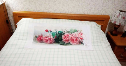 Мои «Французские розы» №169686