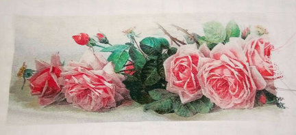 Мои «Французские розы» №169687