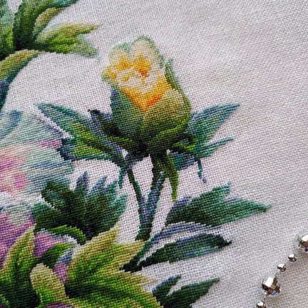 Пионы №169717