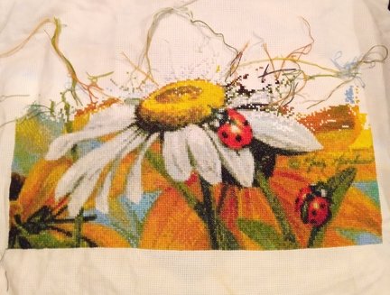 Сельское утро и божьи коровки №171871