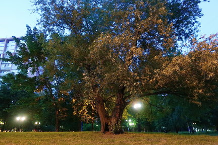 Наши дворики, улицы, любимые места - там, где мы живём ))) №172172