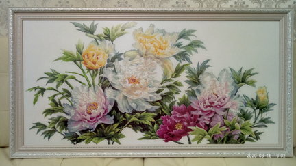 Мои восточные пионы №172646