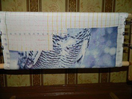 Мой новый процесс «Hedwig» №173529