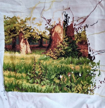 Дубовая роща №173588