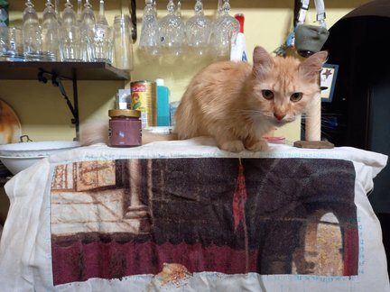 The Accolade - Посвящение в рыцари №173593