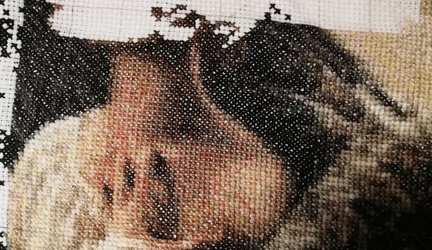 Орёл и девушка №173719