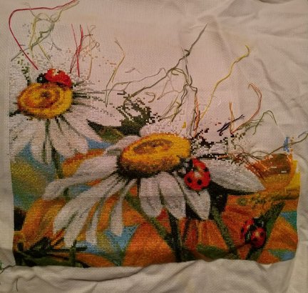 Сельское утро и божьи коровки №174118