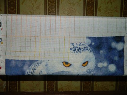 Мой новый процесс «Hedwig» №175293