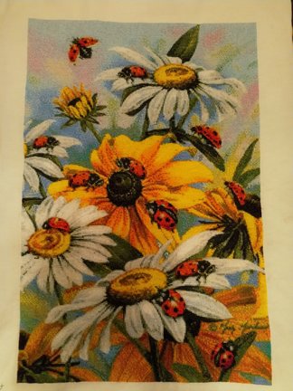 Сельское утро и божьи коровки №176849