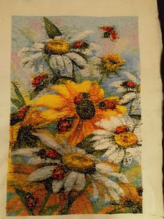 Сельское утро и божьи коровки №176850