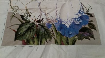 Ирисы и шмель №176902