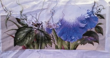 Ирисы и шмель №176951