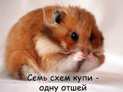 Смешно о вышивке №177725