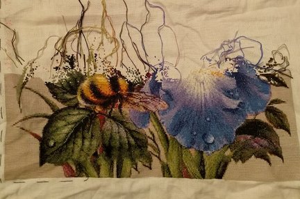 Ирисы и шмель №177851