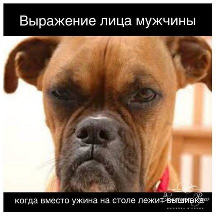 Смешно о вышивке №178176