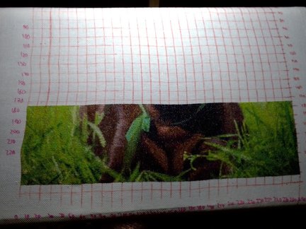 «Белочка» и др. мои работы по схемам этого сайта №178193