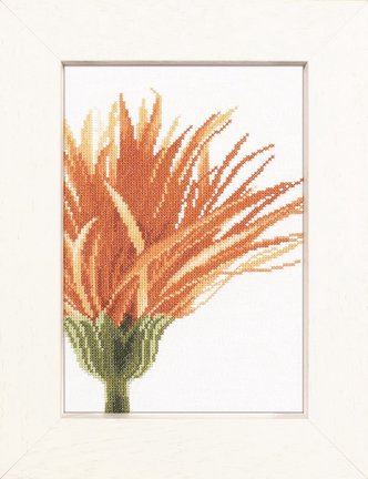 Lanarte PN-0008271 Close-up orange flower №178525