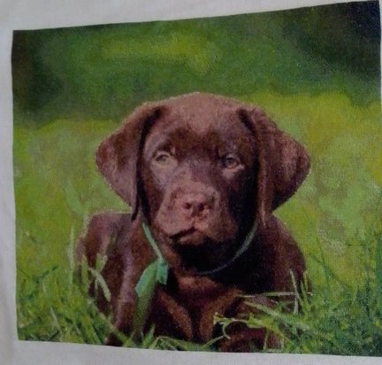 «Белочка» и др. мои работы по схемам этого сайта №178586