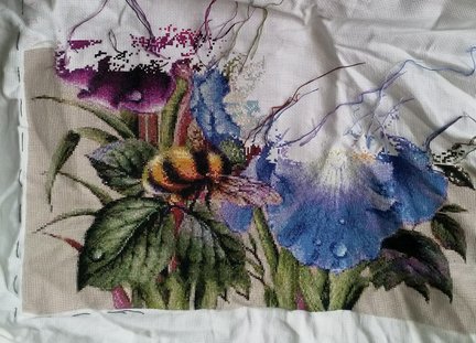 Ирисы и шмель №178806