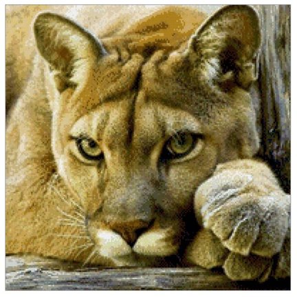 Пума xsd №178862