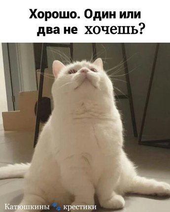 Смешно о вышивке №179541