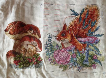 Лесная гостя и её сакровищя №180357