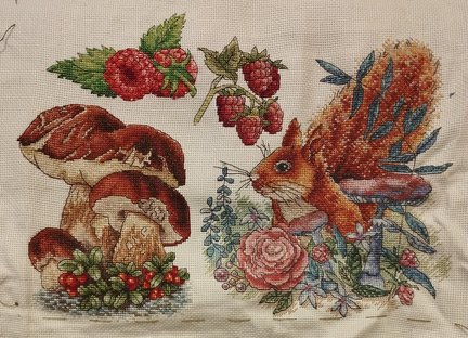 Лесная гостя и её сакровищя №180429