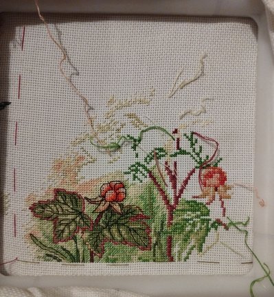 Лесная гостя и её сакровищя №180541