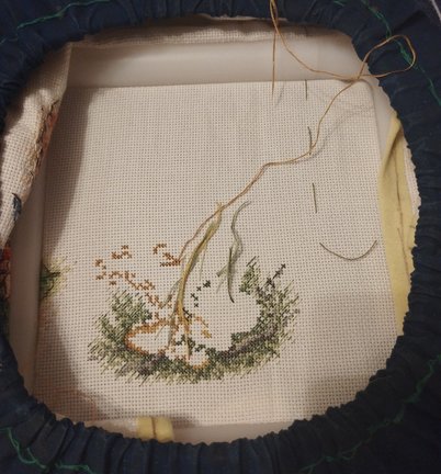 Лесная гостя и её сакровищя №180665